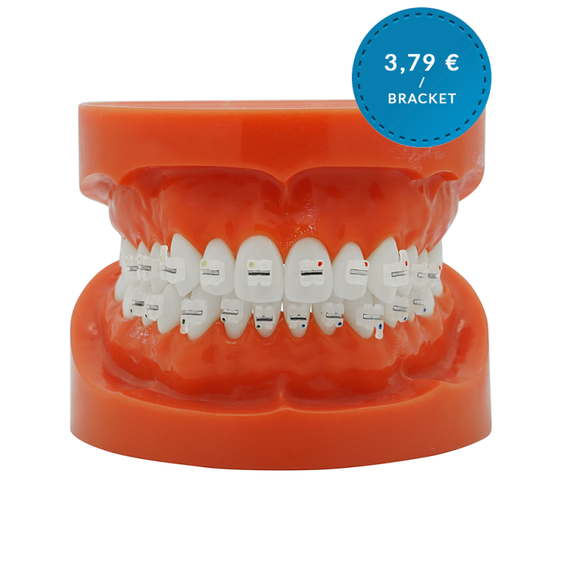 Ceramic bracket with metal slot bracket (FREE UK Shipping)